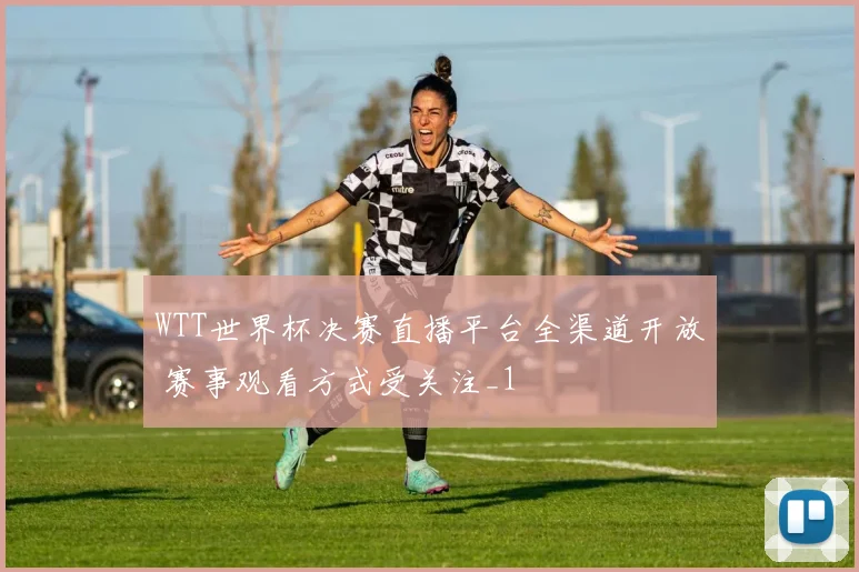 WTT世界杯决赛直播平台全渠道开放 赛事观看方式受关注_1