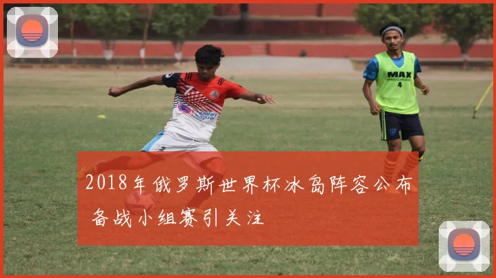 2018年俄罗斯世界杯冰岛阵容公布 备战小组赛引关注