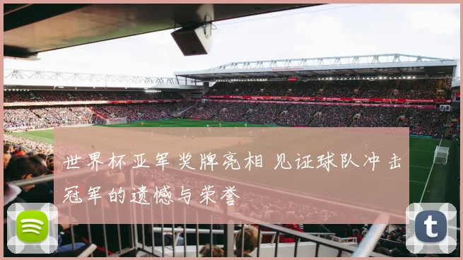 世界杯亚军奖牌亮相 见证球队冲击冠军的遗憾与荣誉