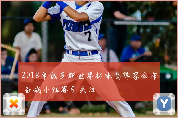 2018年俄罗斯世界杯冰岛阵容公布 备战小组赛引关注